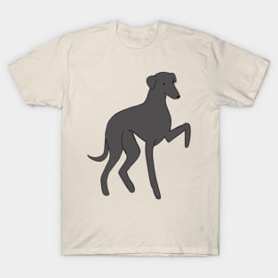 italian greyhound T-Shirt